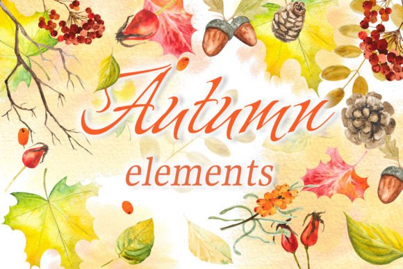 Download Autumn Watercolor Elements - Element Collection